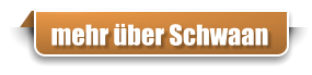 mehr über Schwaan