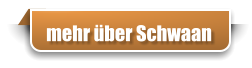 mehr über Schwaan